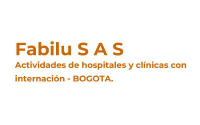 logo-FabiluSAS2-300x113@2x logo-FabiluSAS2-300x113@2x